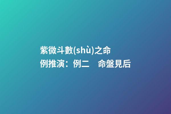 紫微斗數(shù)之命例推演：例二　命盤見后